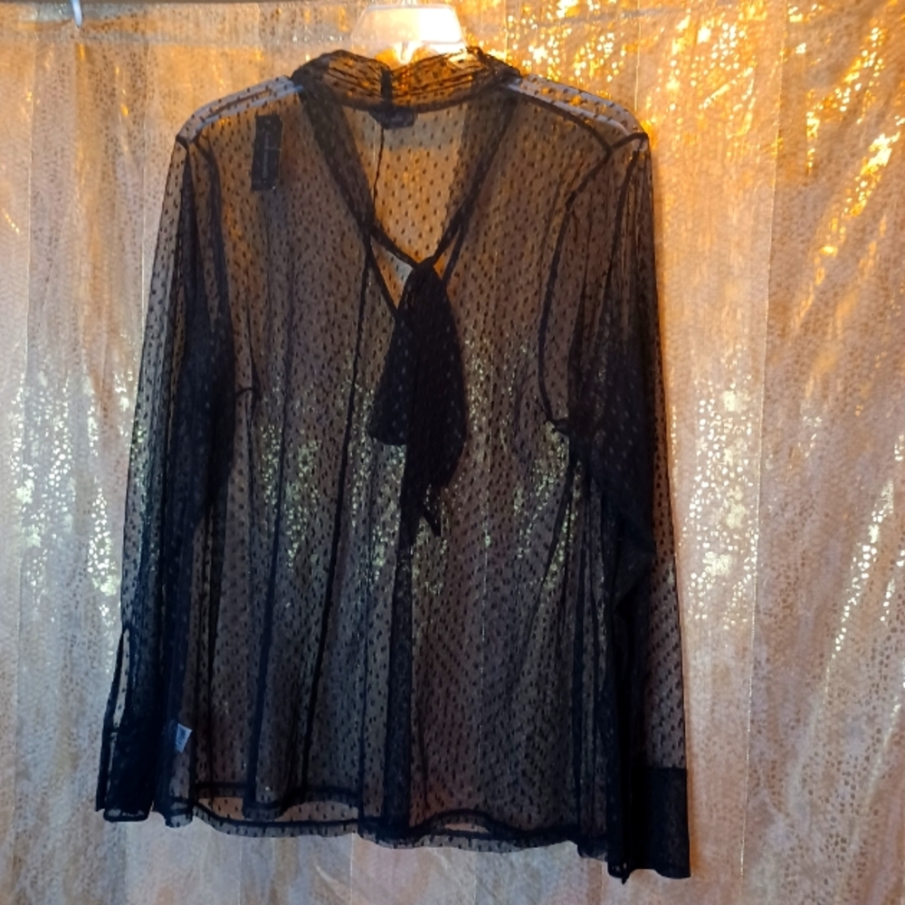NWT.  22/24. Sheer long sleeve top.